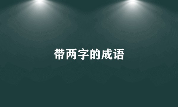带两字的成语