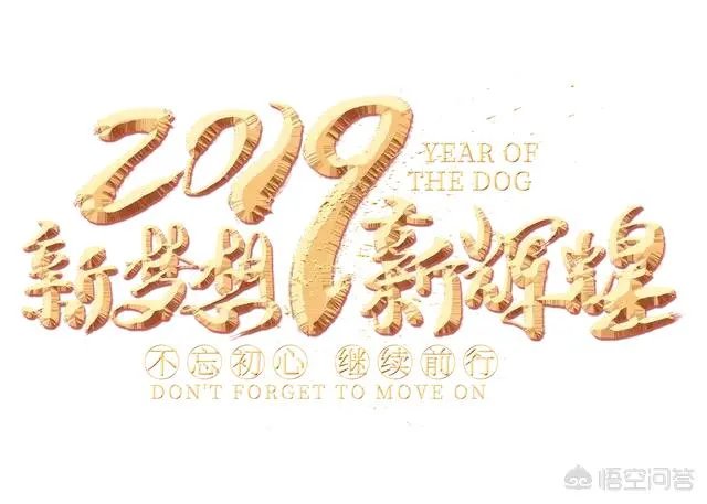 2019年央视春晚你最喜欢哪个节目?