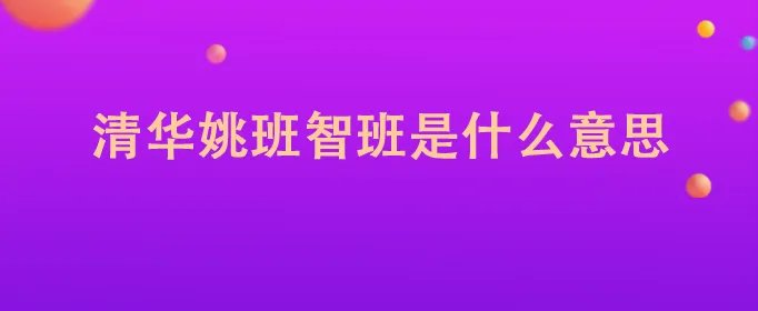 清华姚班智班是什么意思