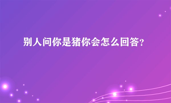 别人问你是猪你会怎么回答？