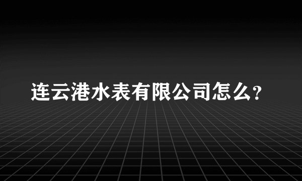 连云港水表有限公司怎么？