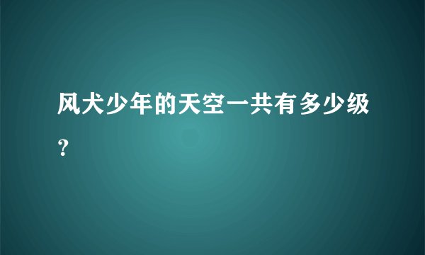 风犬少年的天空一共有多少级？