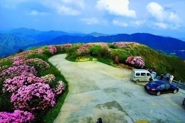 五一去崇义旅游,去玩过的驴友可以说下攻略吗?