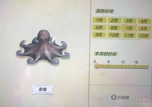 《集合啦动物森友会》海洋生物有哪些?海洋生物价格图鉴