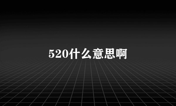 520什么意思啊