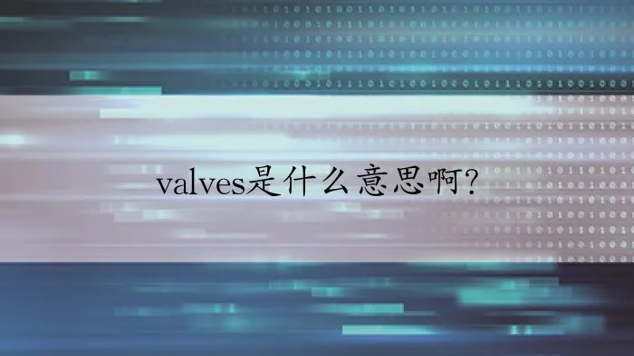 valves是什么意思啊?