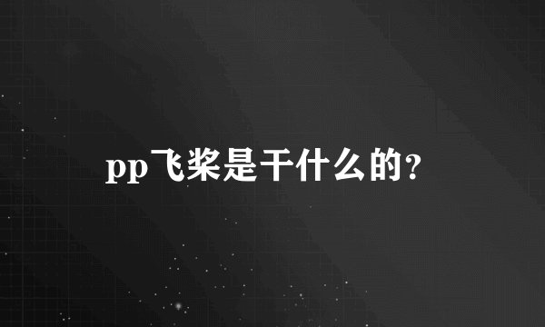 pp飞桨是干什么的？