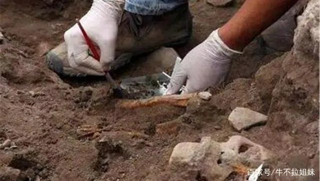 老农翻地挖出一块锈铁,里面藏着怎样一段关于500多箱黄金的往事?