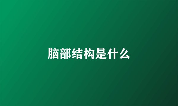 脑部结构是什么