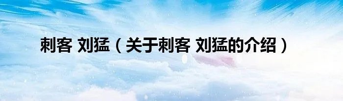 刺客 刘猛（关于刺客 刘猛的介绍）