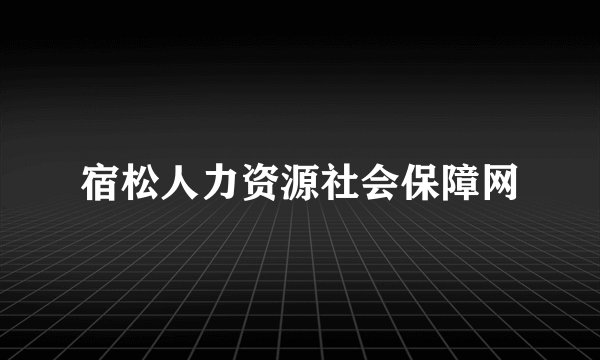 宿松人力资源社会保障网