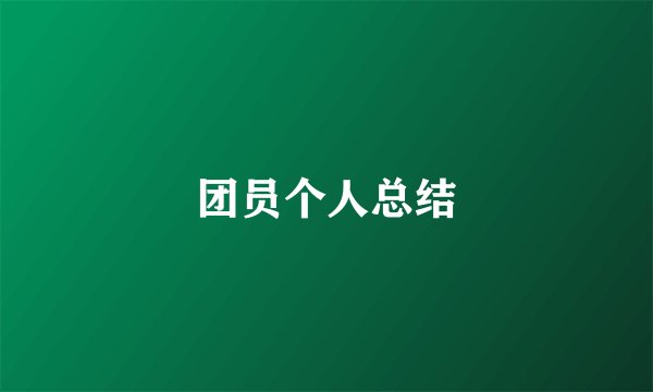 团员个人总结
