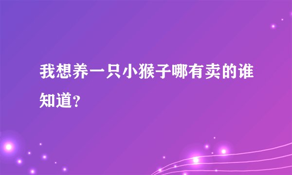 我想养一只小猴子哪有卖的谁知道？