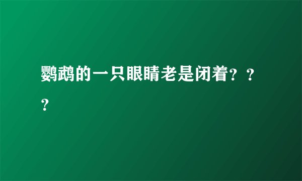 鹦鹉的一只眼睛老是闭着？？？