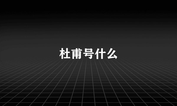 杜甫号什么