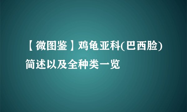 【微图鉴】鸡龟亚科(巴西脸)简述以及全种类一览