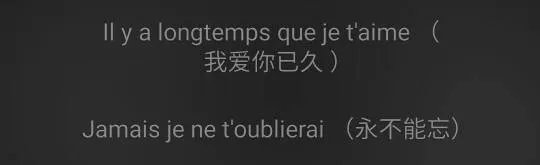 谁能将尚雯婕唱的梦之浮桥的法语用中文译出