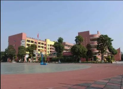 陕西高二男生上课玩手机被退学,学校对此有何表示?
