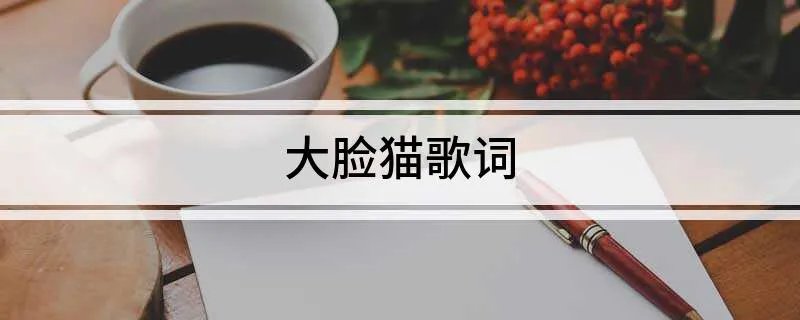 大脸猫歌词