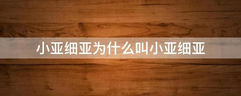 小亚细亚为什么叫小亚细亚