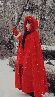 李子柒是不是文化输出引热议，你怎么看？