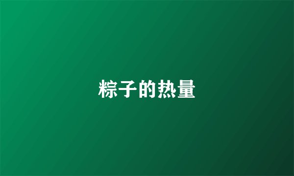 粽子的热量