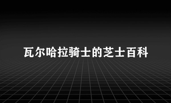 瓦尔哈拉骑士的芝士百科