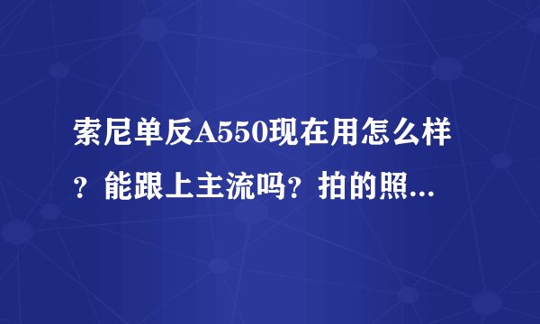 索尼单反A550现在用怎么样？能跟上主流吗？拍的照片还可以吗？ 与尼康D
