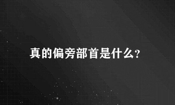 真的偏旁部首是什么?