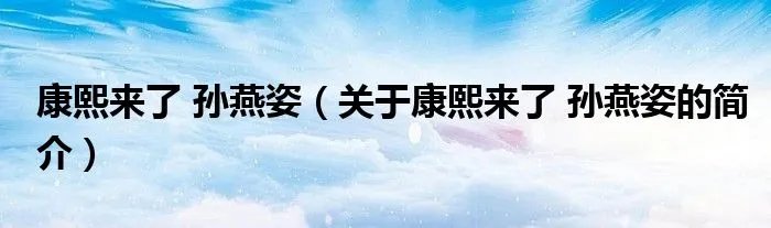康熙来了 孙燕姿（关于康熙来了 孙燕姿的简介）
