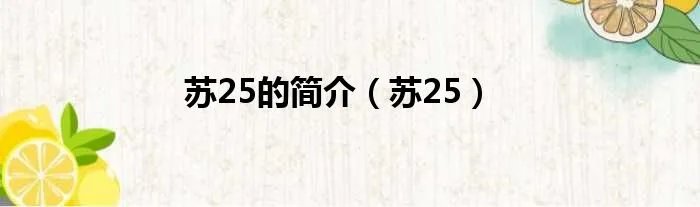 苏25的简介（苏25）