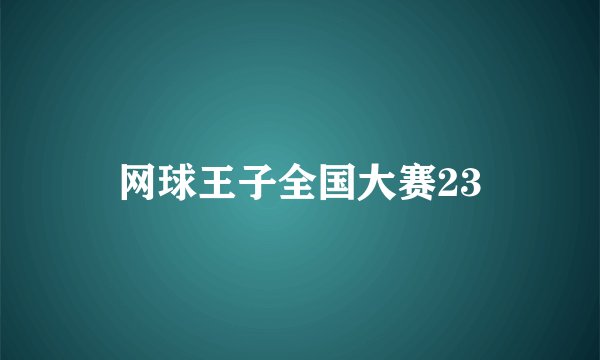 网球王子全国大赛23