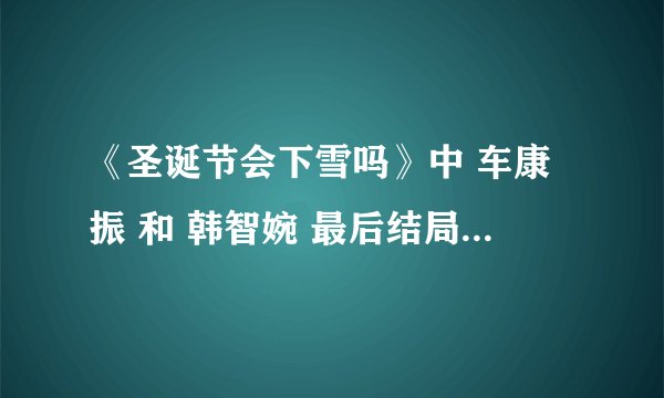 《圣诞节会下雪吗》中 车康振 和 韩智婉 最后结局是不是兄妹？