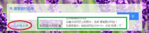 以图搜图，百度识图搜图大全