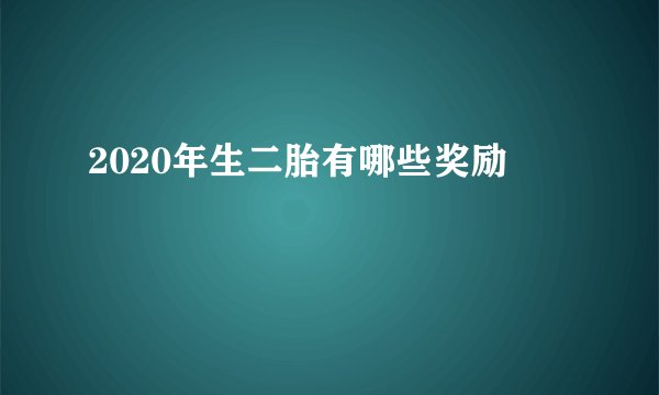 2020年生二胎有哪些奖励