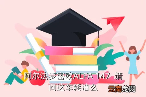阿尔法罗密欧147,阿尔法罗密欧 147做一年service需要多少钱