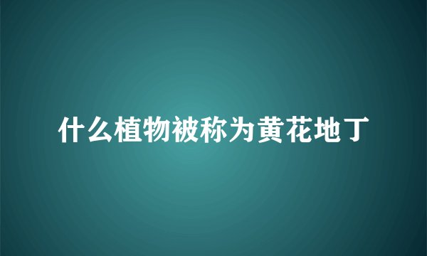 什么植物被称为黄花地丁