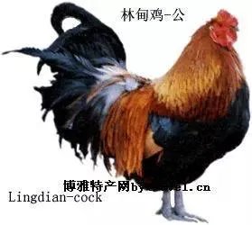 大庆有哪些特产？