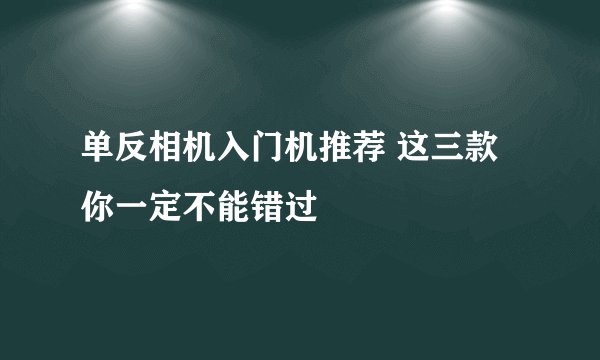单反相机入门机推荐 这三款你一定不能错过