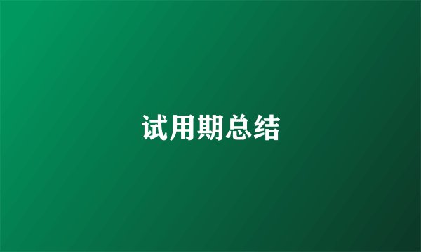 试用期总结