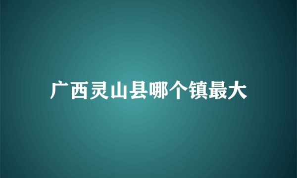 广西灵山县哪个镇最大