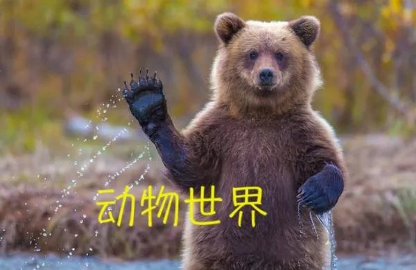 企业宣传片背景音乐常用的有哪些？