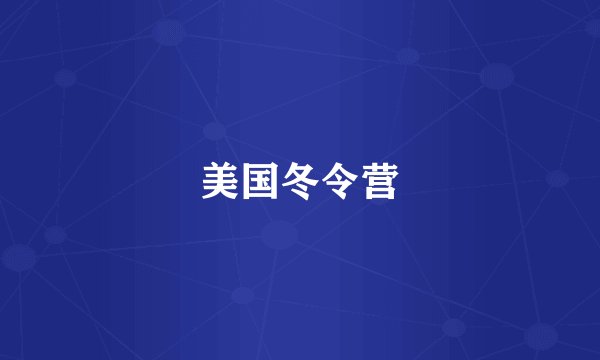 美国冬令营