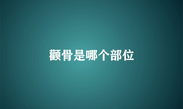颧骨是哪个部位