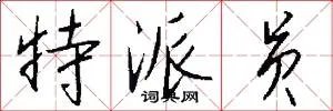 特派员