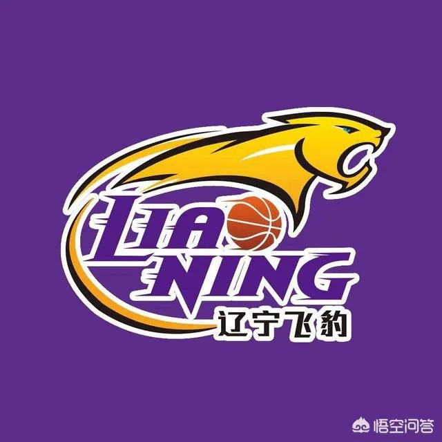 韩德君受伤后，本赛季辽篮是否考虑重组12人大名单？