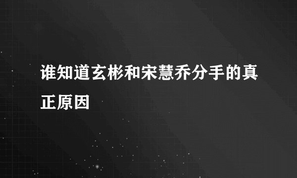 谁知道玄彬和宋慧乔分手的真正原因