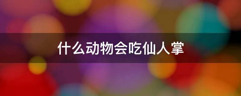 什么动物会吃仙人掌