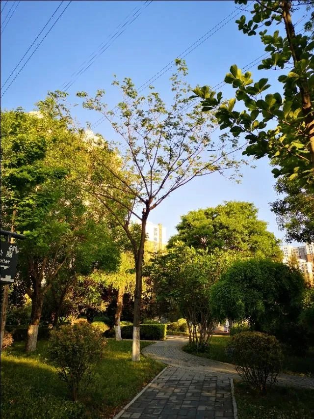 我理财是为了人生更自由，请问这是爱玩的表现吗？