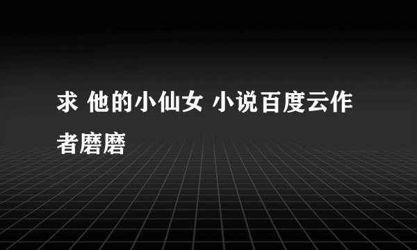 求 他的小仙女 小说百度云作者磨磨